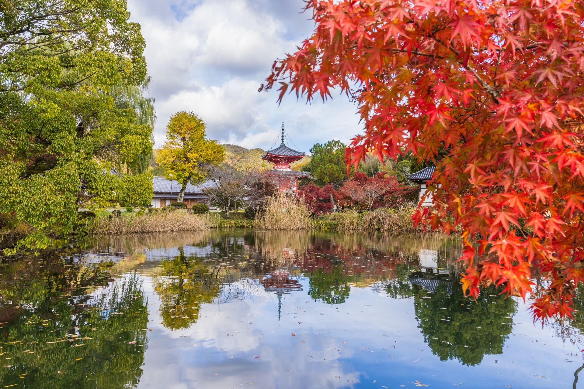 大覚寺の大沢池と色づいた紅葉