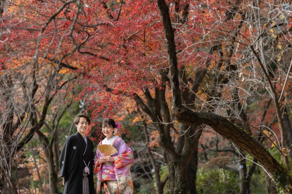 京都府立植物園で色打掛と紋付袴の和装の前撮り（紅葉の木の下で）