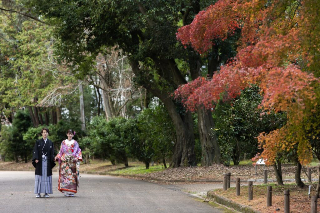 京都府立植物園で色打掛と紋付袴の和装の前撮り（紅葉と園内の小道）