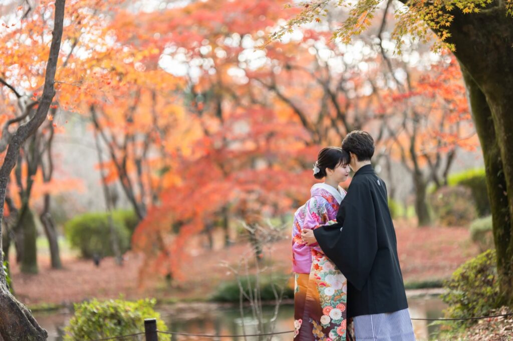 京都府立植物園で色打掛と紋付袴の和装の前撮り（紅葉と池のほとり）