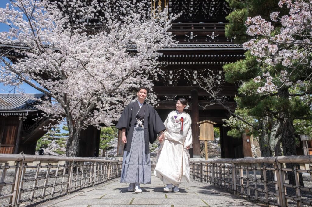 金戒光明寺で白無垢と紋付袴の和装の前撮り(山門と桜)
