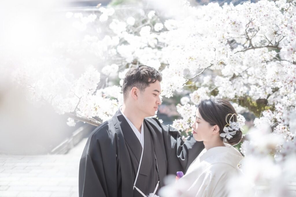 金戒光明寺で白無垢と紋付袴の和装の前撮り(桜の下で)