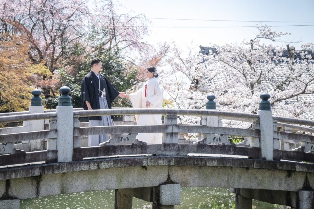 金戒光明寺で白無垢と紋付袴の和装の前撮り(石橋と桜)